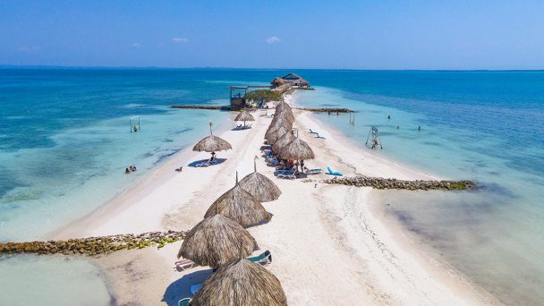 Isla Palma by boat (chd 4-6)