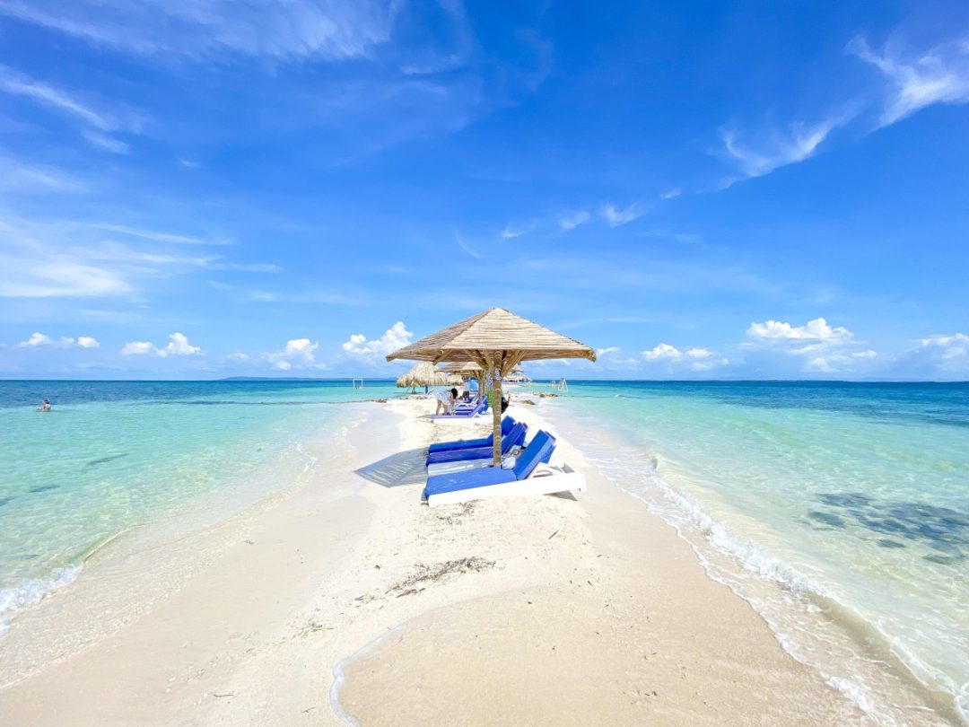 Isla Palma by boat (Adults)