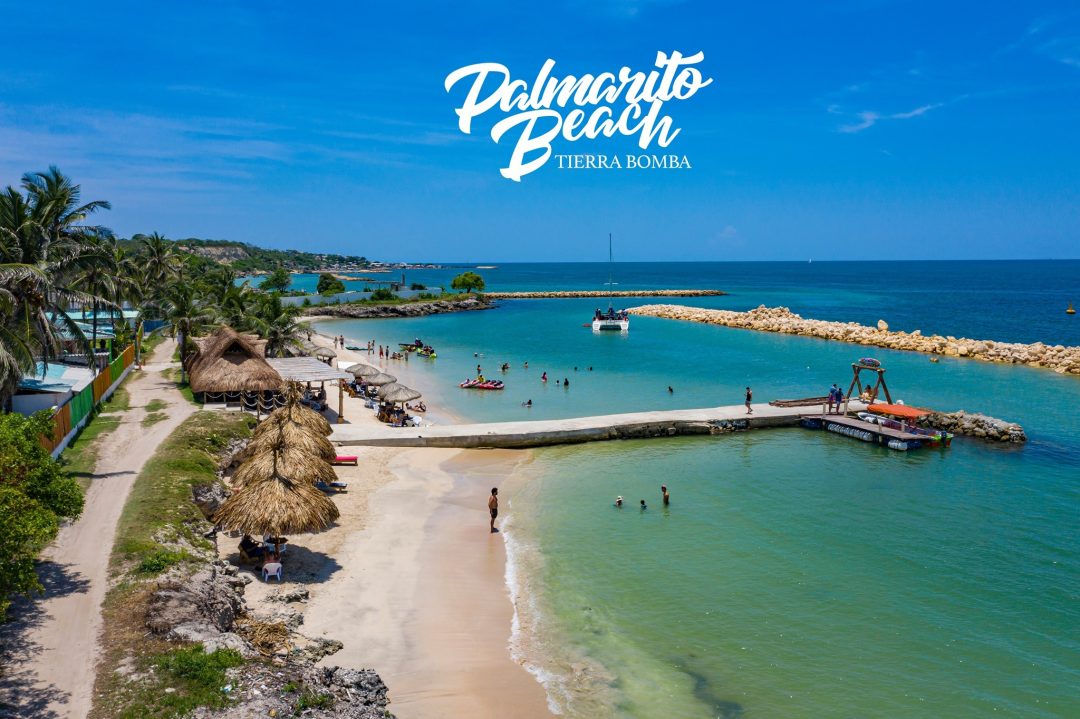 Palmarito