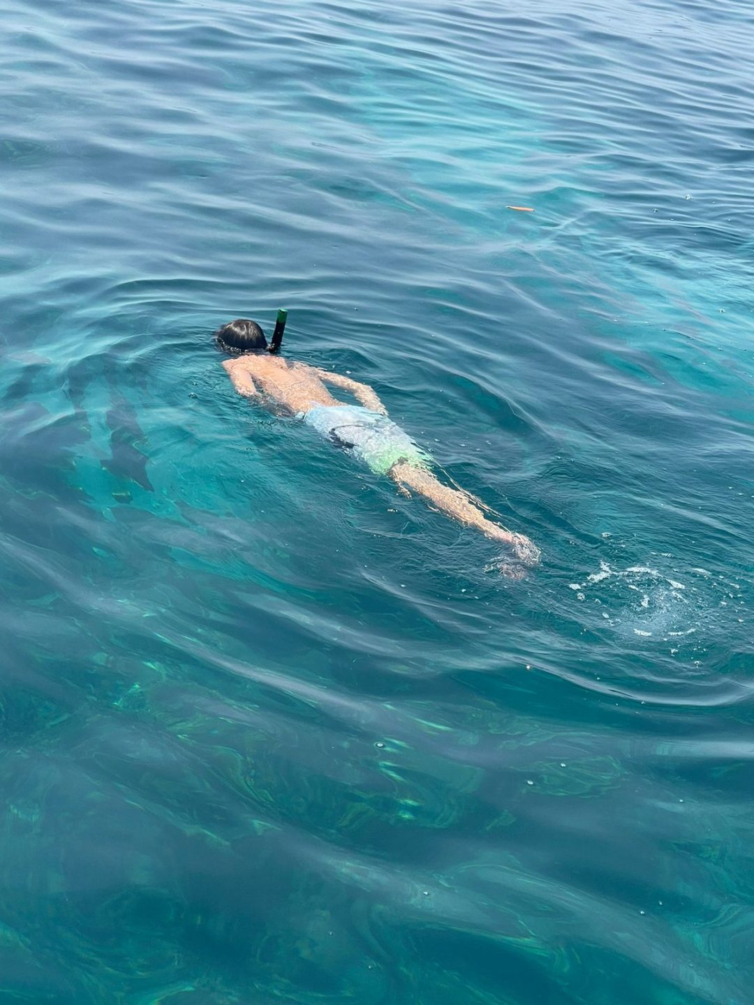 Snorkel Isla Tijereto