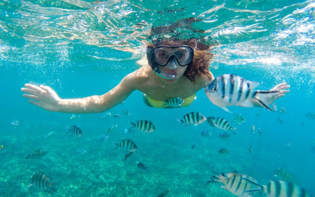 Snorkel Isla Tijereto